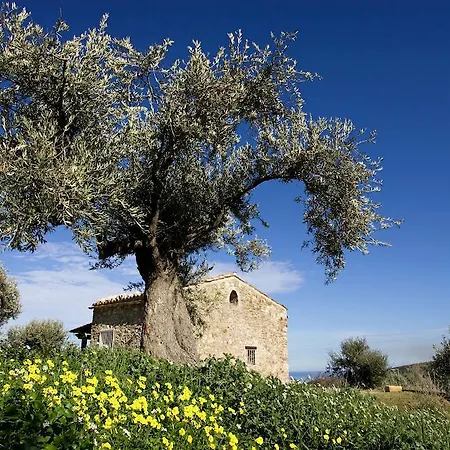 Casa Margaret בקתה *