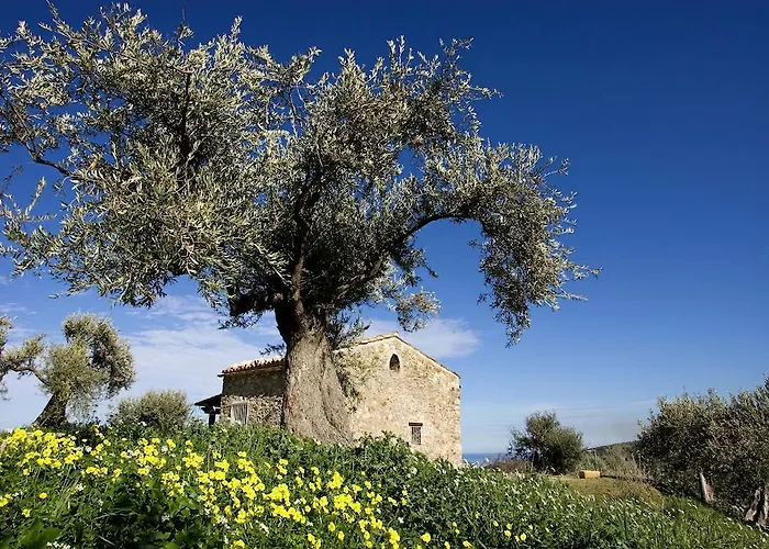 Casa Margaret בקתה *